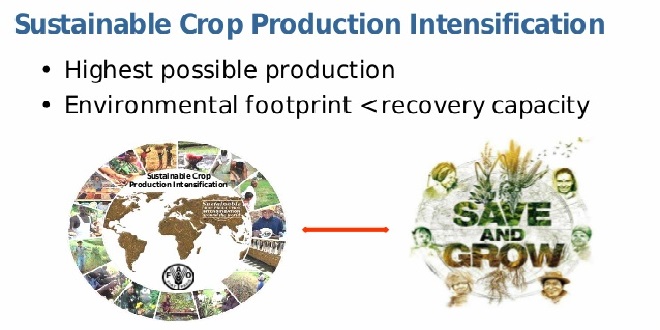 Sustainable Crop Production Intensification