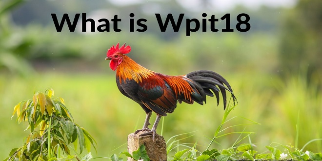 Everything you need to know regarding wpit18
